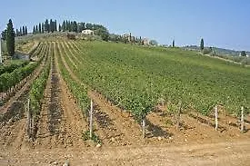 Villa Minghetti Lamporecchio