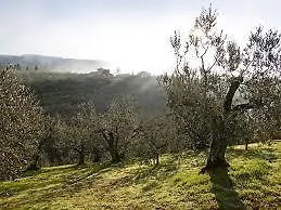 Villa Minghetti Lamporecchio 0*,  Italy